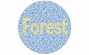 “Are You Color Blind?”: This 20-Question Visual Challenge Will Reveal It All