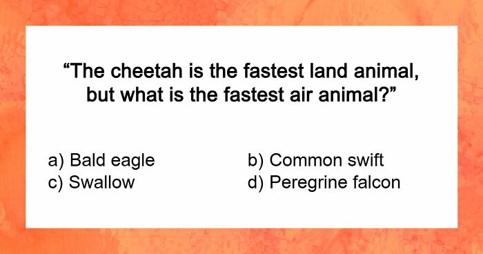 “How Far Can You Get?”: 22 General Knowledge Questions That Go From Really Easy To Difficult