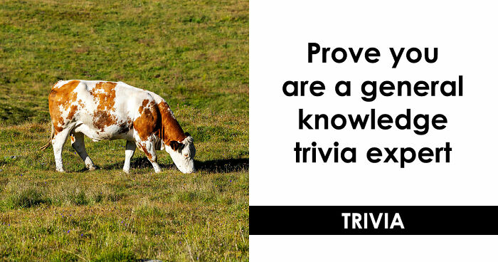 “How Far Can You Get?”: 22 General Knowledge Questions That Go From Really Easy To Difficult