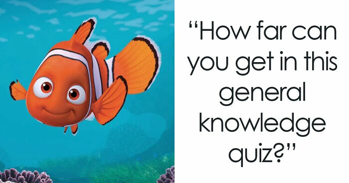 “How Far Can You Get?”: 27 General Knowledge Questions That Go From Easy To Hard