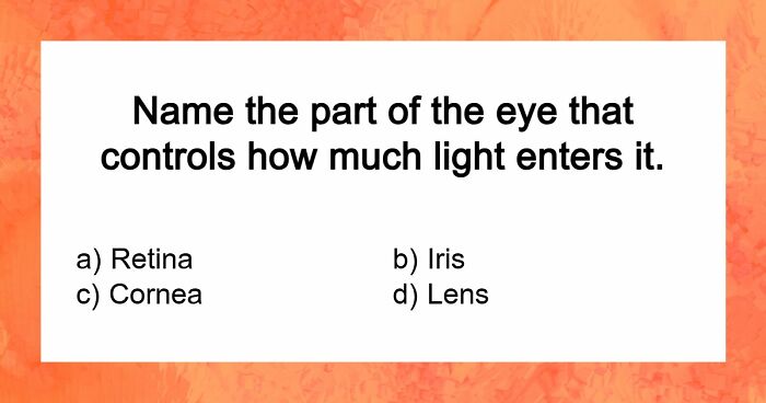 “How Far Can You Get?”: 27 General Knowledge Questions That Go From Easy To Hard