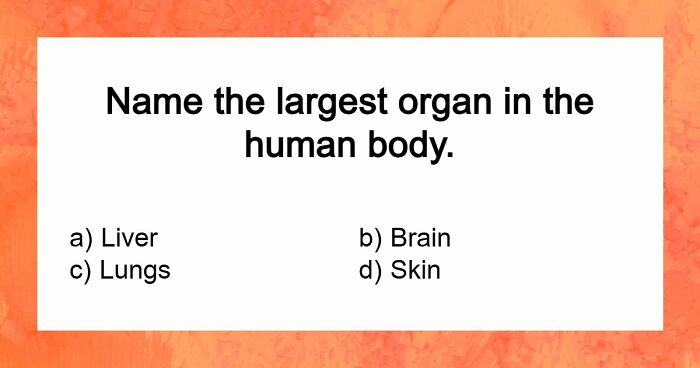 “How Far Can You Get?”: 27 General Knowledge Questions That Go From Easy To Hard