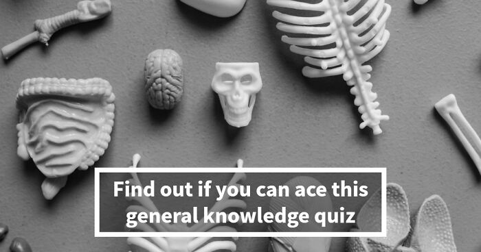 “How Far Can You Get?”: 27 General Knowledge Questions That Go From Easy To Hard
