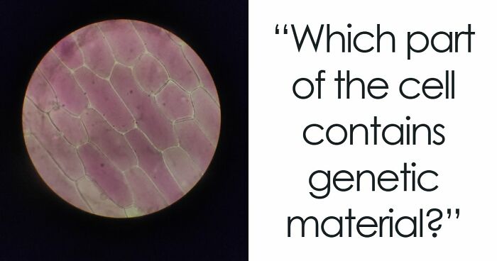 “How Good Are You At Science?”: Beat These 24 Questions To Prove Your Knowledge