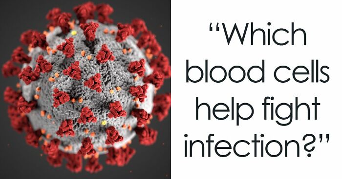 “How Good Are You At Science?”: Beat These 24 Questions To Prove Your Knowledge