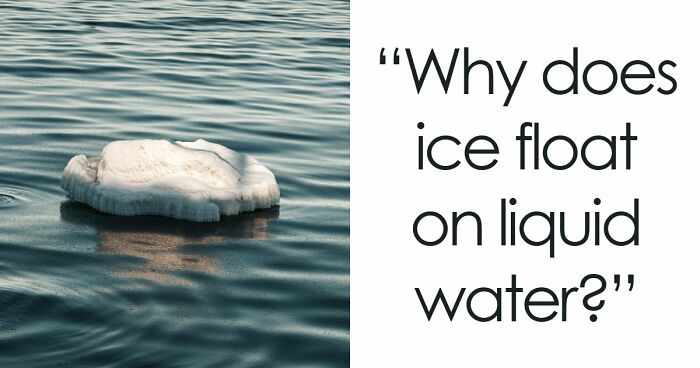 “How Good Are You At Science?”: Beat These 24 Questions To Prove Your Knowledge