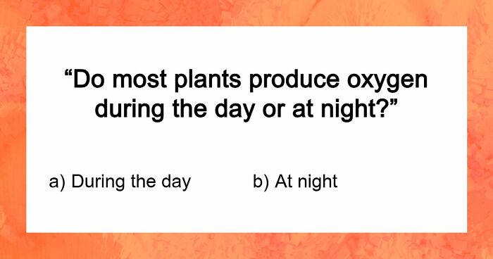 From The Mona Lisa To Winston Churchill: Beat The Odds With This 50-50 Quiz Challenge