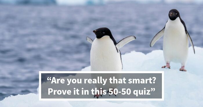 From The Mona Lisa To Winston Churchill: Beat The Odds With This 50-50 Quiz Challenge