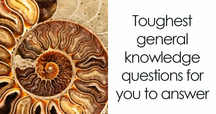 “Is Your IQ Above Average?”: Beat These 26 Hard General Knowledge Questions