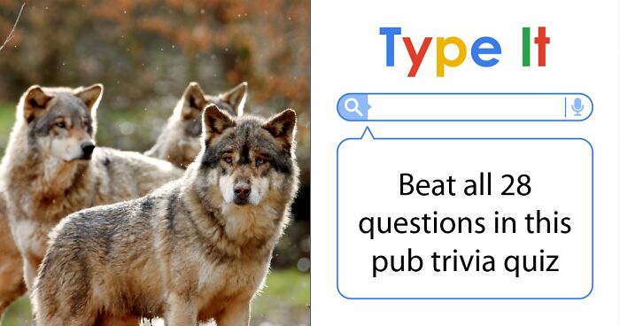 “Could You Handle A Real Pub Quiz?”: Test Your General Knowledge With These 28 Questions