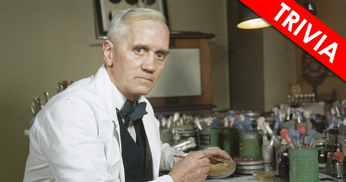 “Could You Handle A Real Pub Quiz?”: Test Your General Knowledge With These 28 Questions