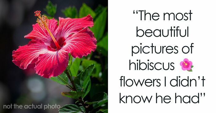 67 Heartwarming And Heartbreaking Things People Saw On Their Late Parents’ Phones