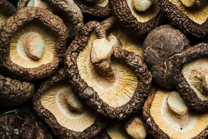 Pile of fresh shiitake mushrooms with textured caps