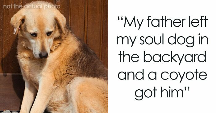 58 Moments In Which Kids Realized They Can’t Keep Contact With Their Parents Anymore