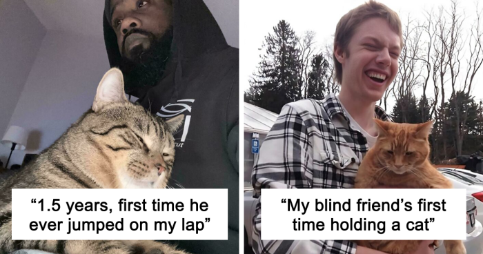 “My First And Probably Last”: 71 First-Time Experiences That Ended In Wins Or Disasters