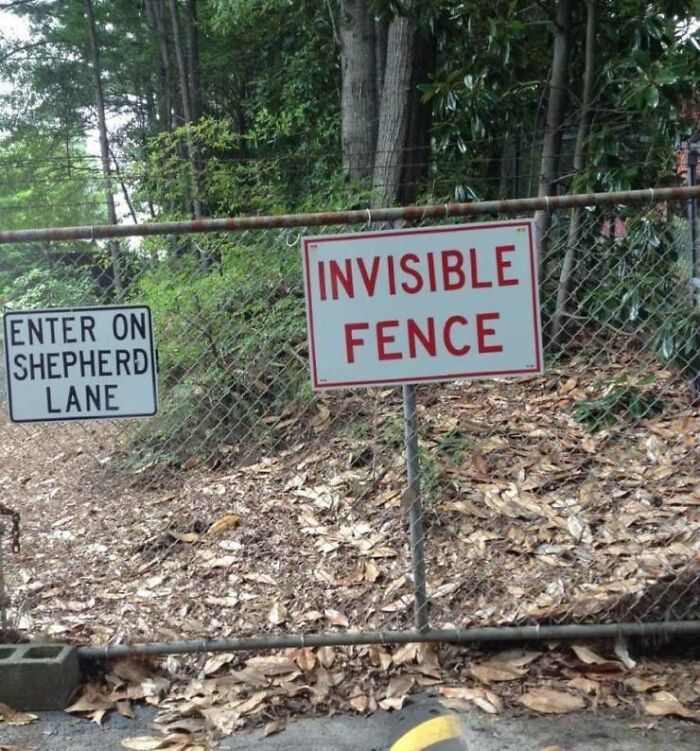 An invisible fence sign attached to a visible chain-link fence, demonstrating a common sense fail.