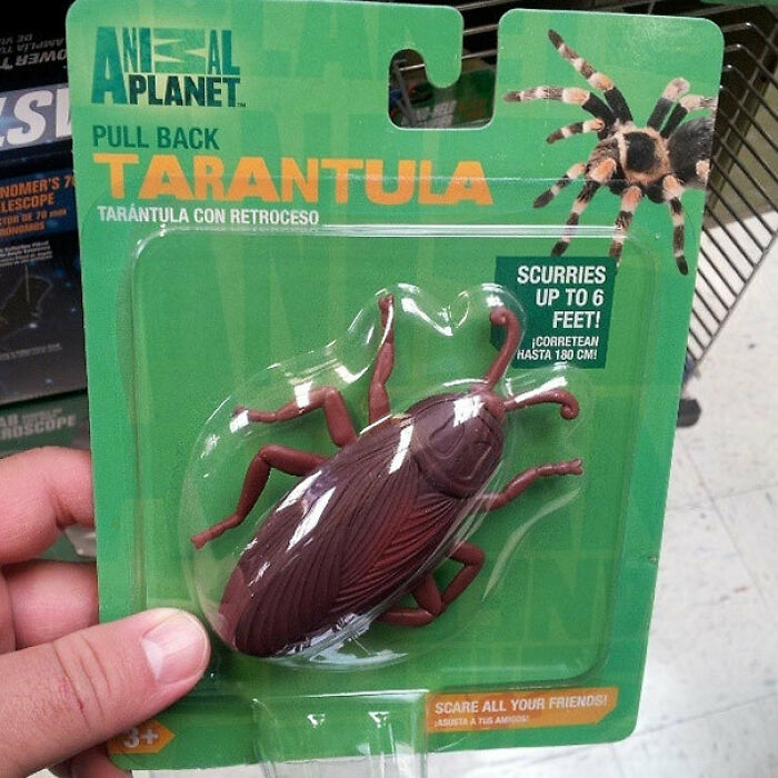 An Animal Planet toy package for a tarantula that surprisingly contains a large cockroach toy, highlighting a ridiculous common sense fail.