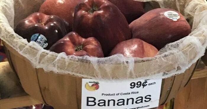 93 Ridiculous “You Had One Job” Fails That Prove Common Sense Isn’t All That Common