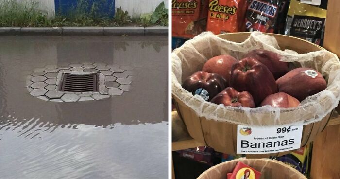 93 Ridiculous “You Had One Job” Fails That Prove Common Sense Isn’t All That Common