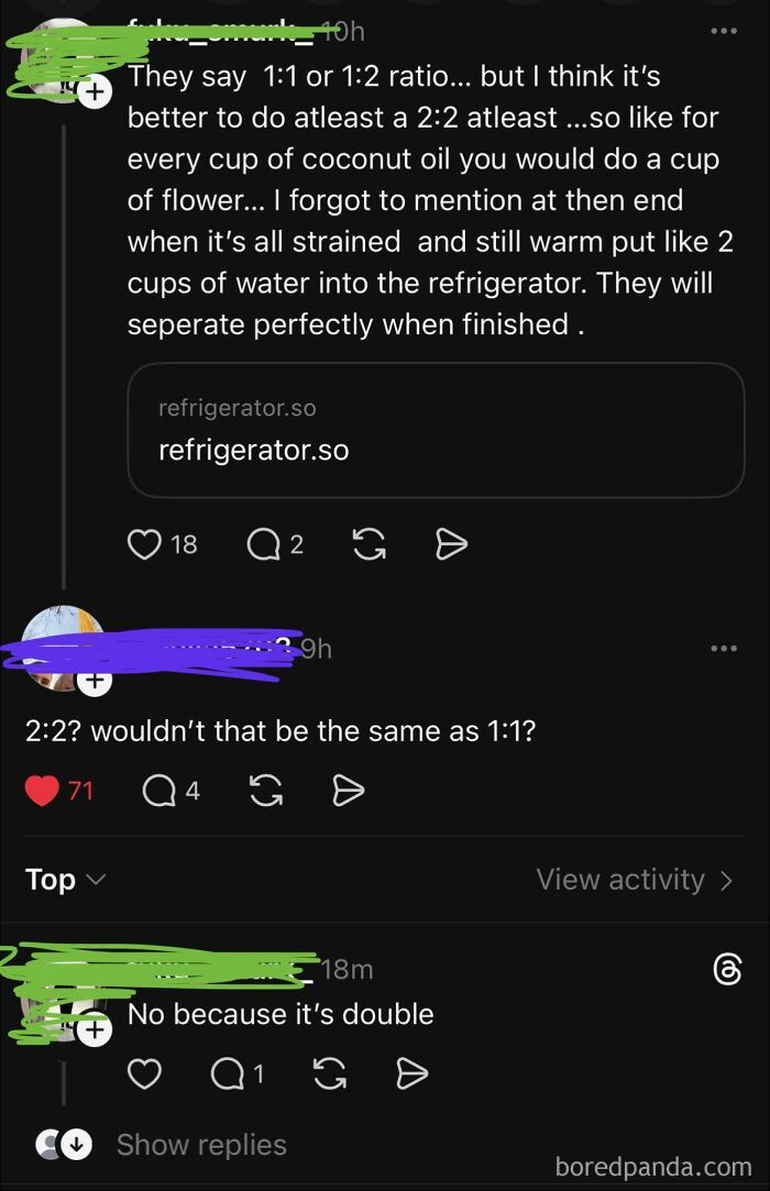 A Reddit conversation where a user explains a 2:2 ratio, then gets corrected that it's the same as 1:1, showcasing iconic self-burns.