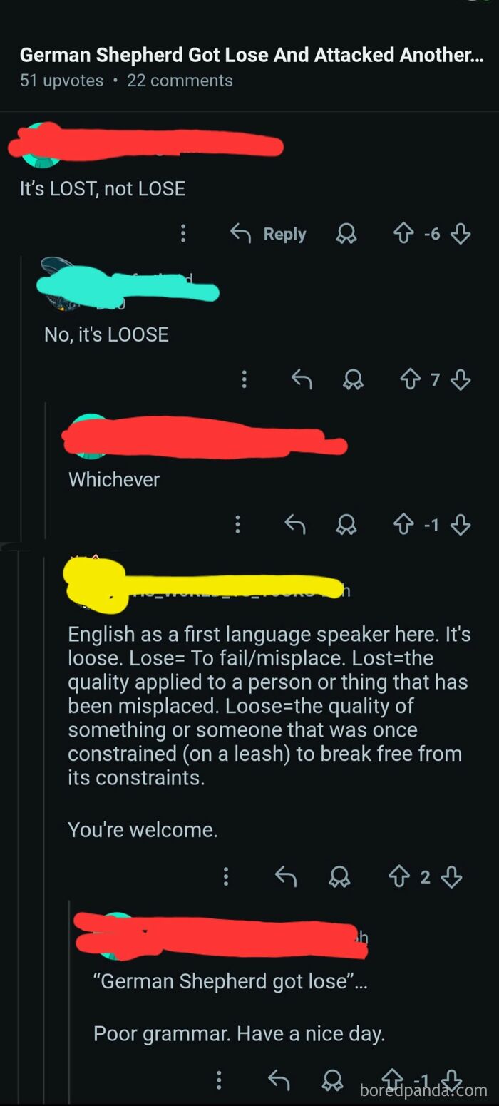 Screenshot of a Reddit conversation where users argue about the correct spelling of lost vs. lose, displaying iconic self-burns.