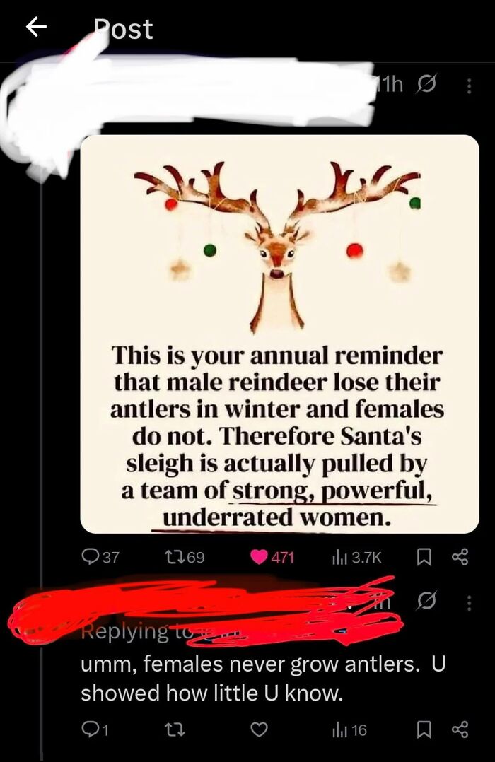 A social media post with a self-burn, where a user incorrectly states female reindeer don't grow antlers.