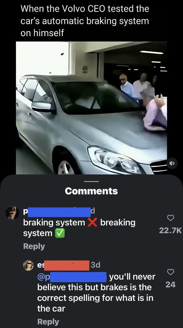 An iconic self-burn from a social media comment correcting the spelling of 'braking system'.