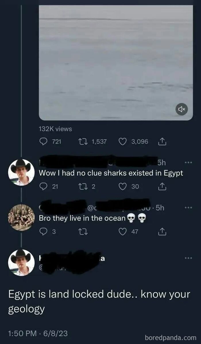 A social media post with a person making a self-burn about sharks in Egypt.