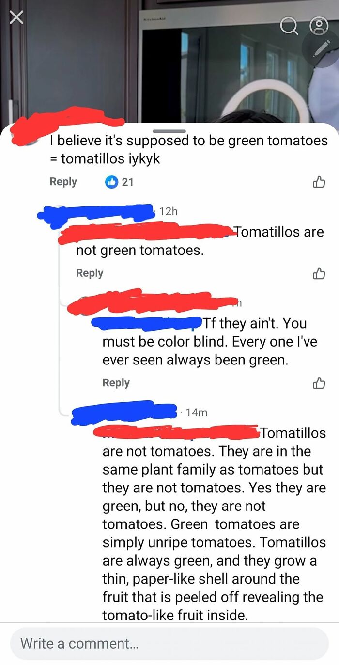 A social media conversation with iconic self-burns debating whether tomatillos are green tomatoes, highlighting common misconceptions.