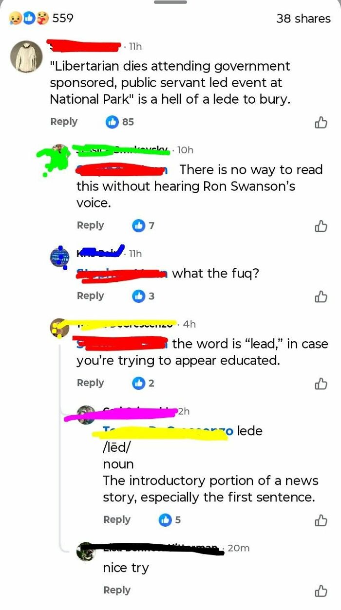 A social media screenshot showing iconic self-burns regarding a news headline and the word lede.