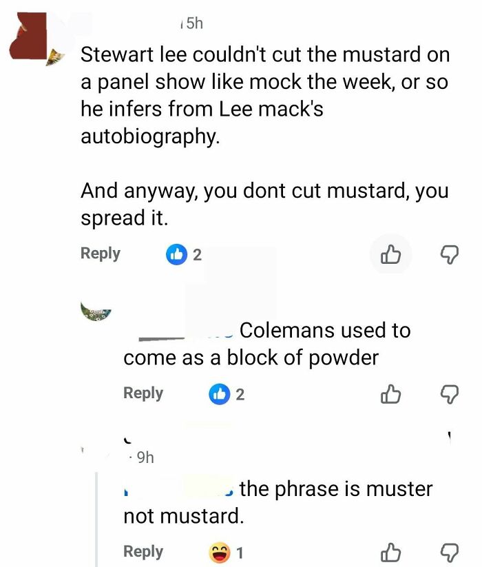 A social media screenshot showing a discussion about the phrase 'cut the mustard' and its correct usage, illustrating iconic self-burns.
