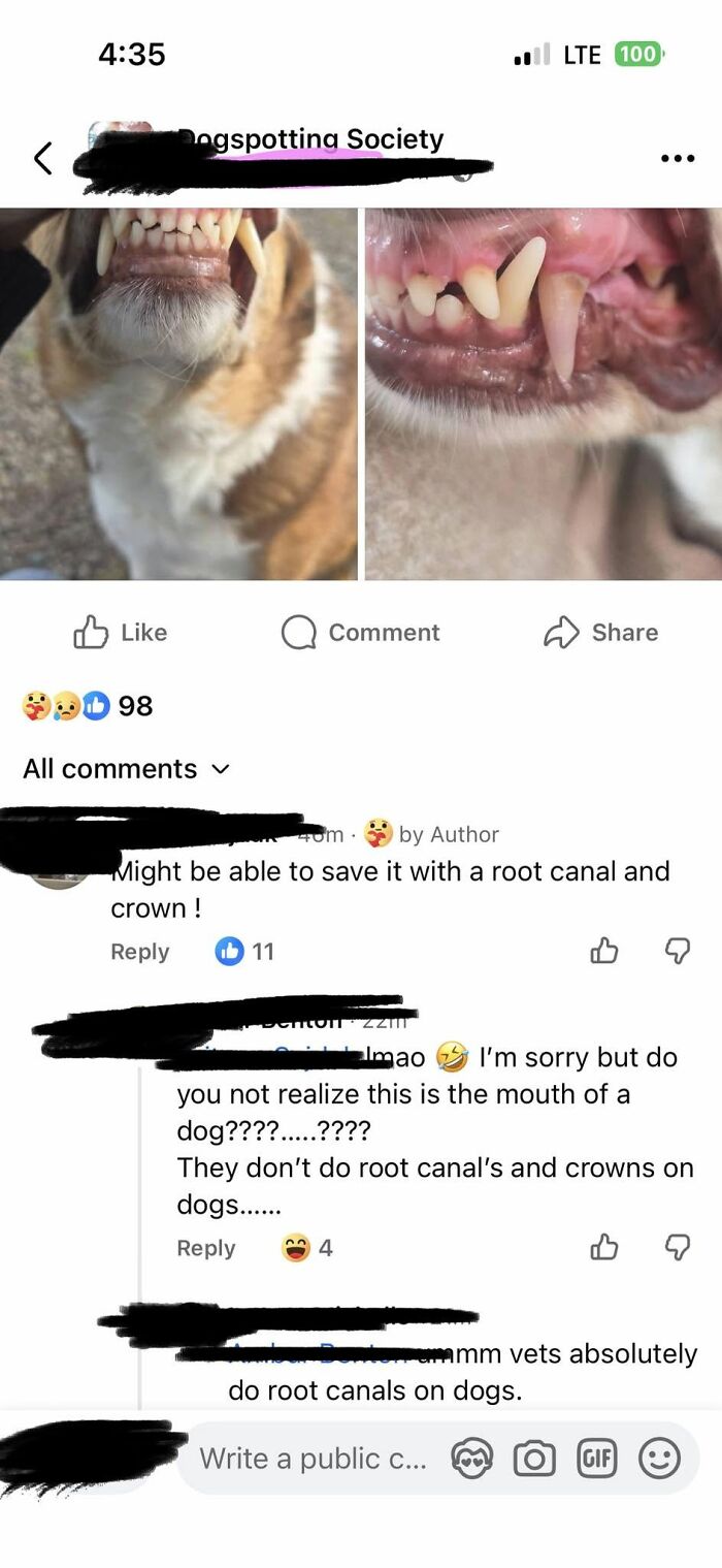 A social media screenshot displaying a discussion about a dog's teeth, highlighting iconic self-burns related to vet knowledge.
