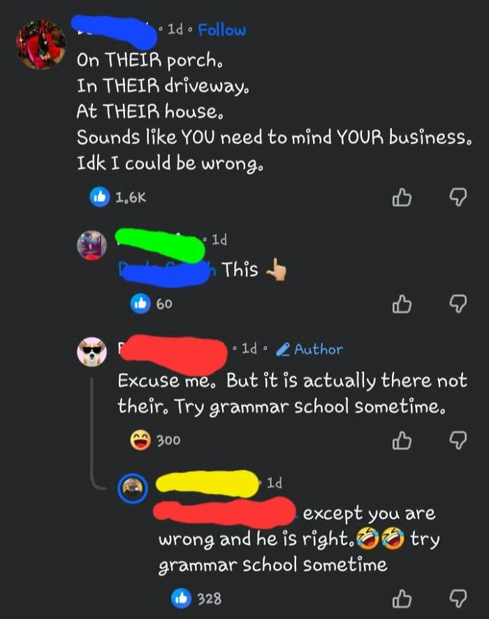 A social media screenshot showing iconic self-burns through a grammar correction argument about 'their' versus 'there'.