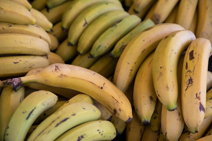 A large pile of bananas, showing varied ripeness, a serious matter, not a joke.
