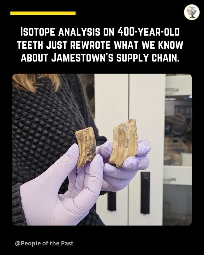 A close-up of gloved hands holding ancient teeth, a historical post that feels like time travel.
