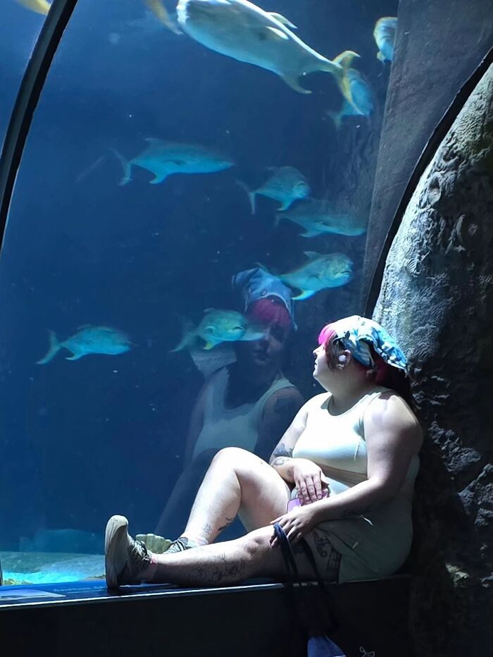 A person with pink hair sits by a large aquarium, observing fish, part of a wholesome photo trend with strangers.
