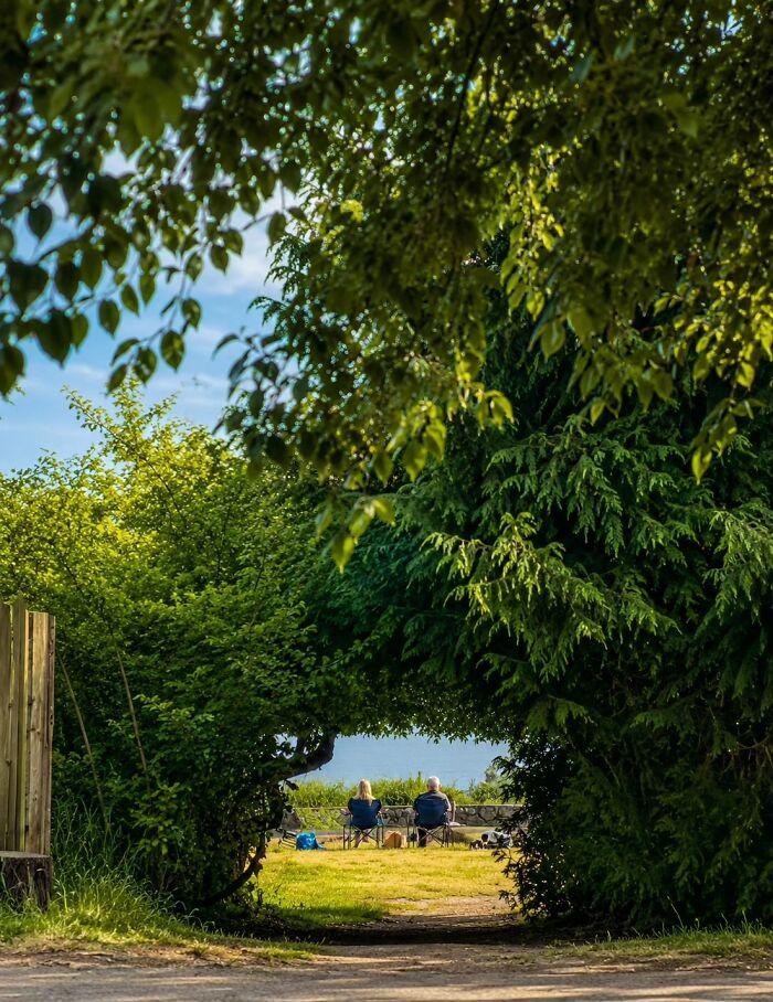 Two figures sit on chairs under an archway of trees, seen from afar, a wholesome photo trend like a painting.