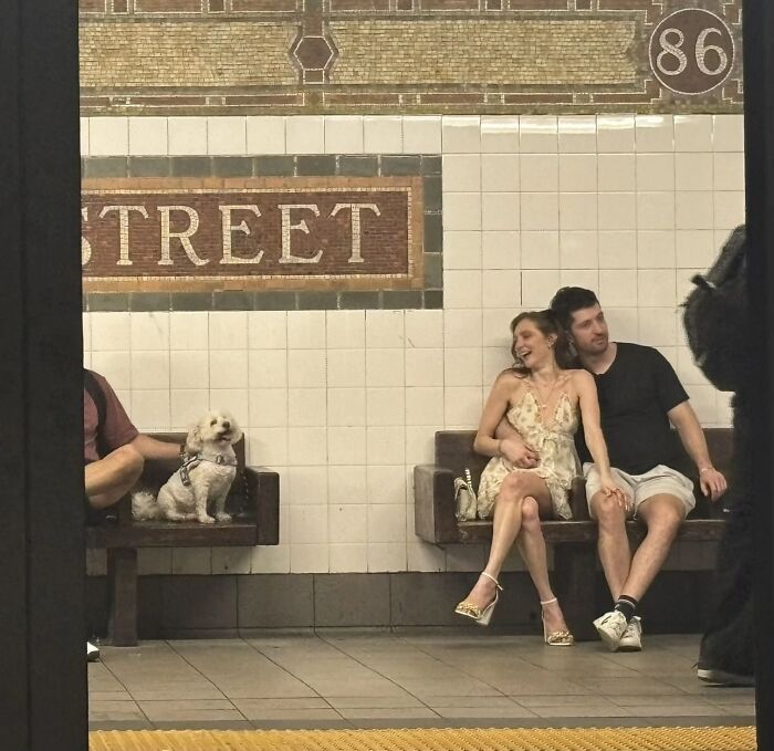 A couple sits embracing on a subway bench next to a small dog, captured in a wholesome photo trend like a painting.