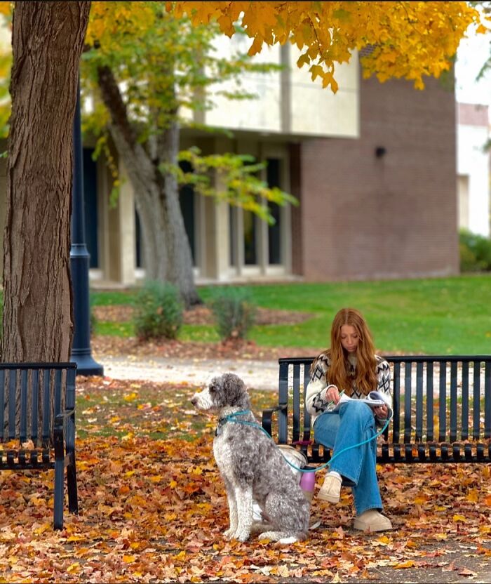 A woman and her dog relaxing on a park bench in autumn, a wholesome photo trend moment.