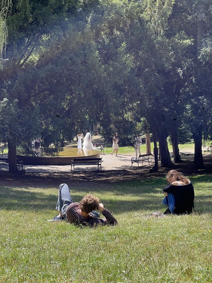 People enjoying a sunny day in the park, reflecting the peaceful atmosphere of the photo trend.