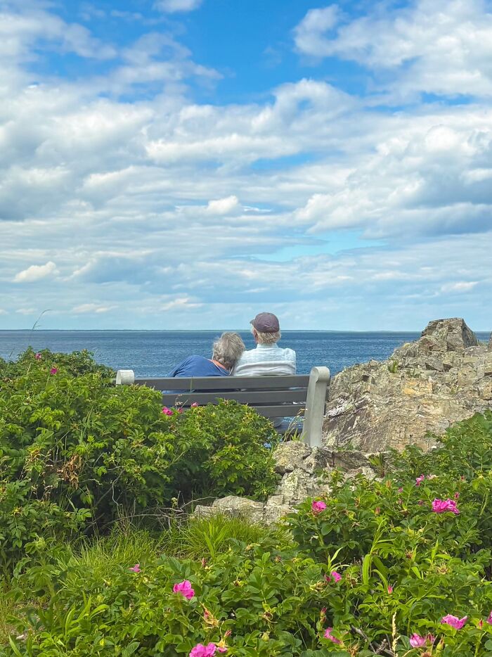 A couple sits on a bench overlooking the ocean under a blue sky, captured in a wholesome photo trend.