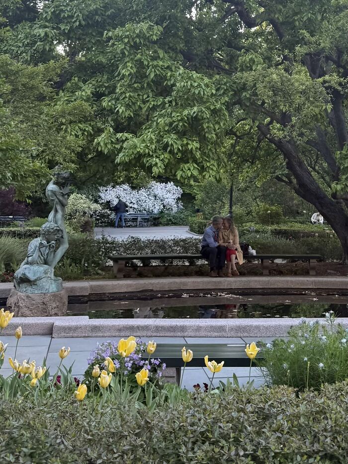 A couple on a park bench surrounded by lush greenery and yellow flowers, part of a wholesome photo trend.