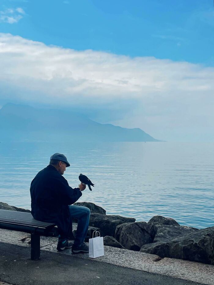 A man sitting by a lake, holding a bird, a serene image from the 'Like A Painting' photo trend.