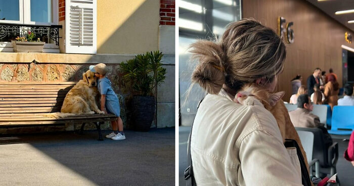 “Like A Painting”: This Wholesome Photo Trend Between Strangers Has The Internet In A Chokehold