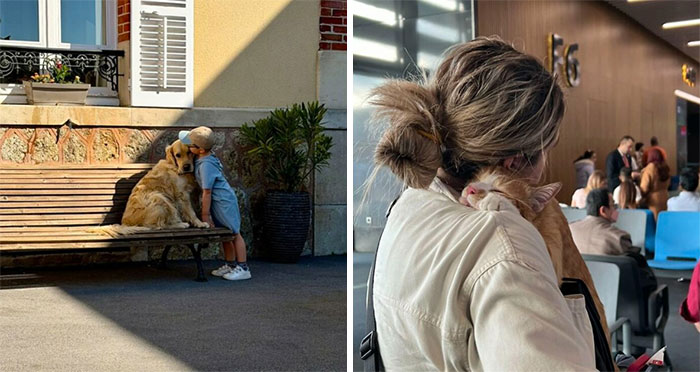 “Like A Painting”: This Wholesome Photo Trend Between Strangers Has The Internet In A Chokehold