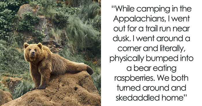 “Y’all Have Been Waiting To Confess Things”: 40 Stories That Sound Insane But Are 100% True