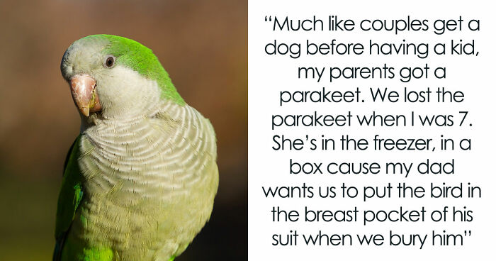 “Y’all Have Been Waiting To Confess Things”: 40 Stories That Sound Insane But Are 100% True