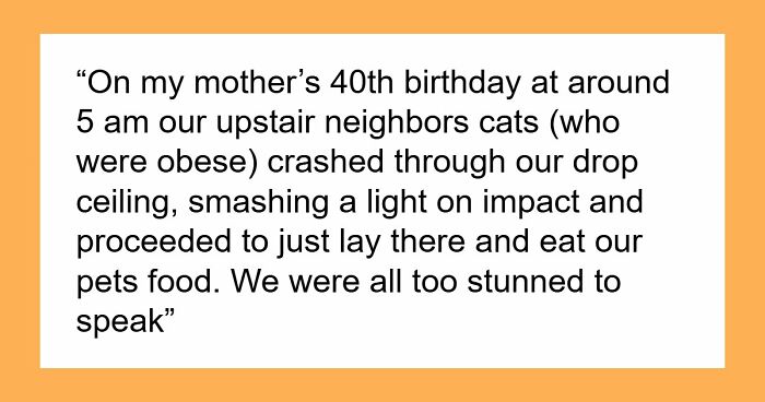 “Y’all Have Been Waiting To Confess Things”: 40 Stories That Sound Insane But Are 100% True