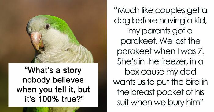 “Y’all Have Been Waiting To Confess Things”: 40 Stories That Sound Insane But Are 100% True
