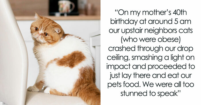 “Y’all Have Been Waiting To Confess Things”: 40 Stories That Sound Insane But Are 100% True